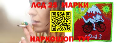 винт Кимры