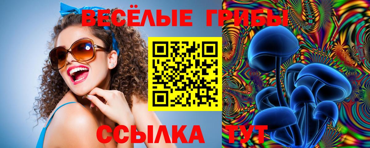 Югорск  Галлюциногенные грибы Cubensis  Вход с VPN  цены   Псилоцибиновые грибы MAGIC MUSHROOMS 