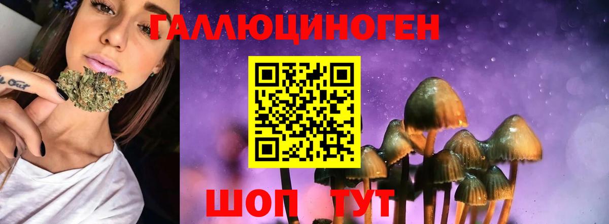 Псилоцибиновые грибы Psilocybe Югорск